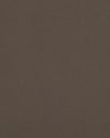 Beaver Brown Twill Chino