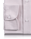 Pink University Stripes Oxford