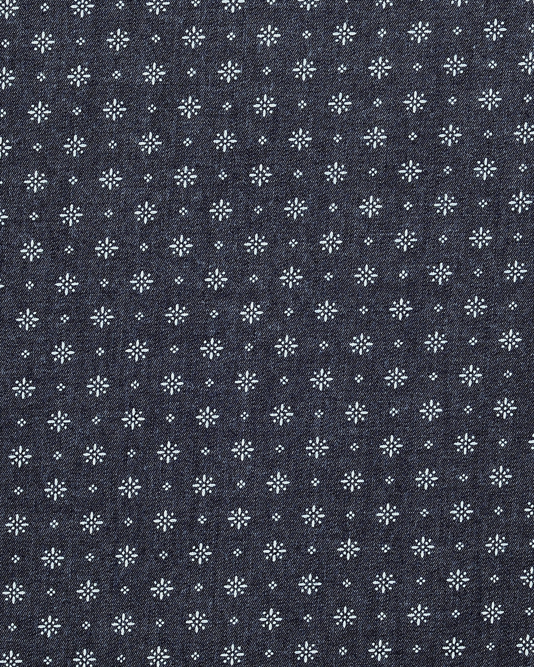 Printed Denim Shirt